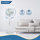 CROMPTON 400MM GALE CLASSIC