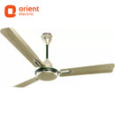 ORIENT 1200MM QUASAR ORNAMENTAL