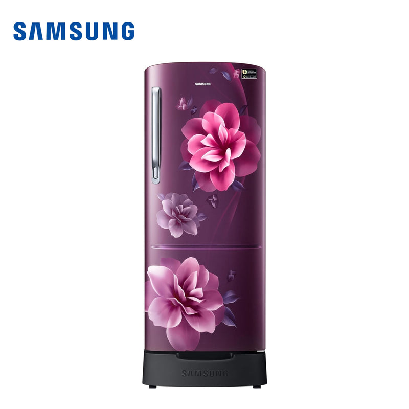 SAMSUNG RR20D2825CR/NL