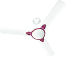 HAVELLS 1200MM FAN EQUS White Maroon