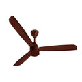 ATOMBERG 1200MM RENESA PRIME GLOSS BROWN