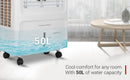 KENSTAR TALLDE 50