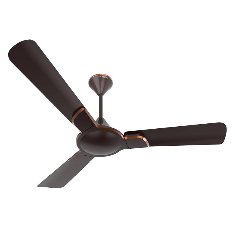 1200MM PR AVANCER2 Americano Brown