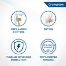 CROMPTON 400MM HIGHSPEED TORPEDO