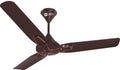 ORIENT 1200MM JAZZ MATE BRONZE COPPER