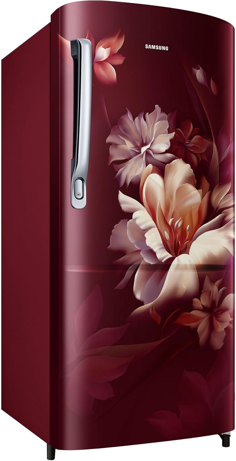 SAMSUNG RR20D2725RZ/NL