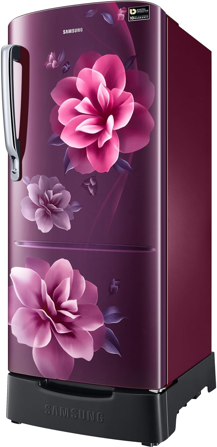 SAMSUNG RR20D2825CR/NL