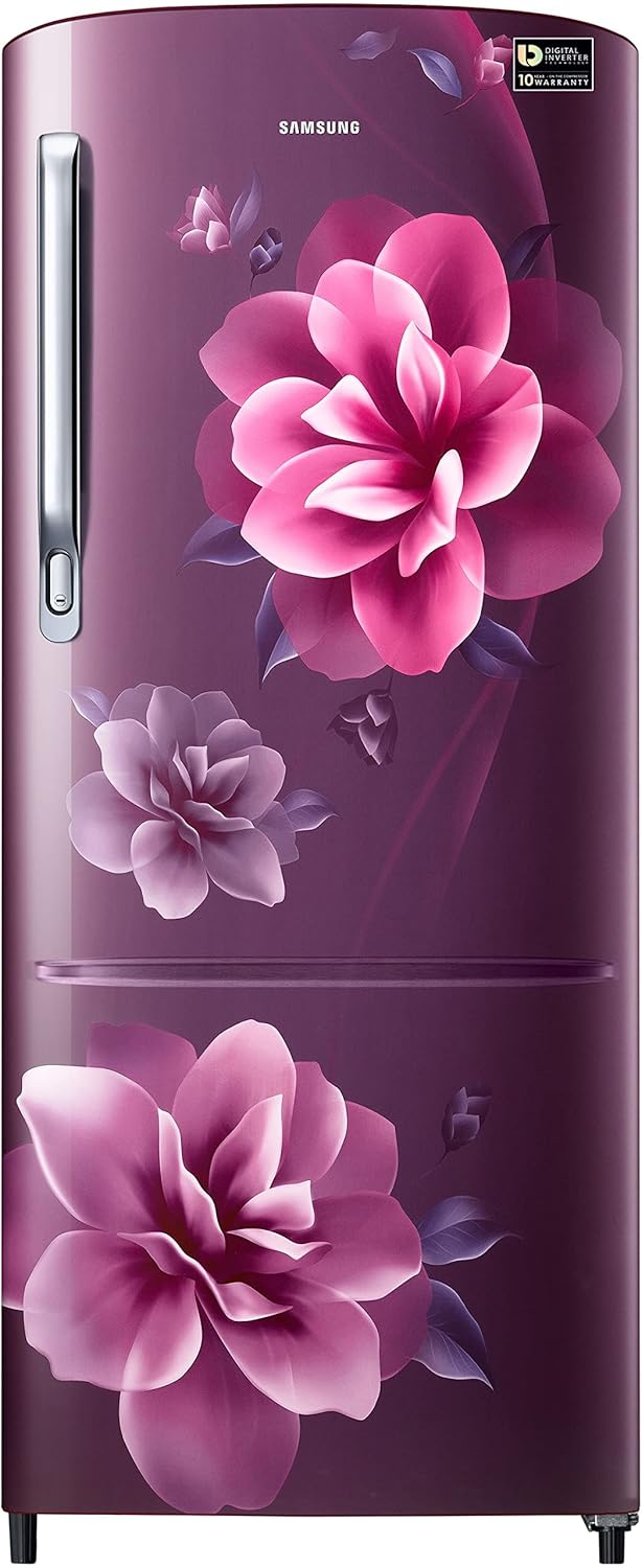 SAMSUNG RR20C2723CR/NL