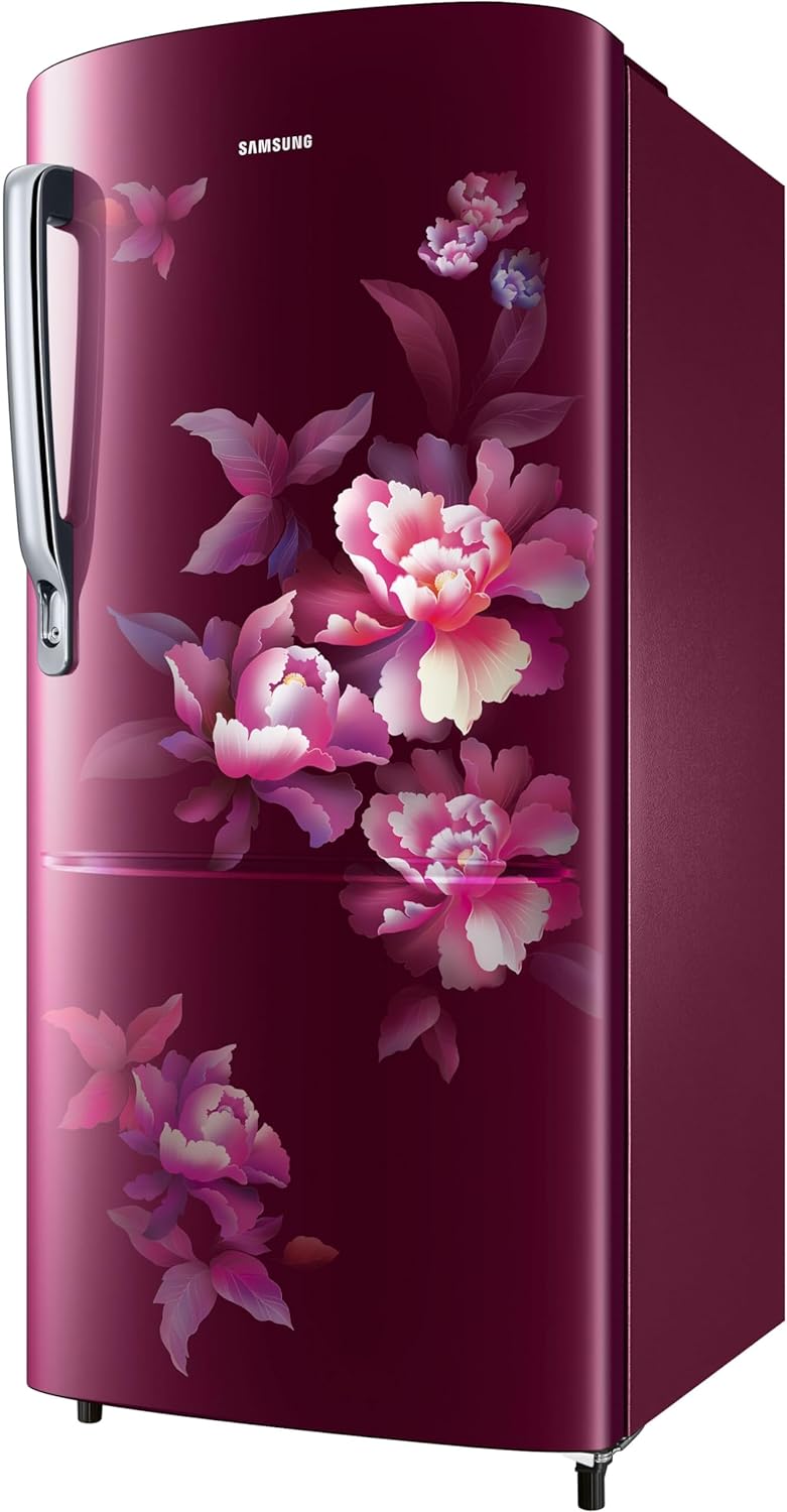 SAMSUNG RR20C1724HN/HL