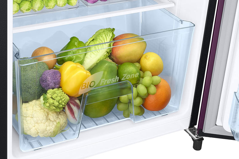 SAMSUNG RR20C2723CR/NL