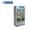 BLUE STAR TC1050V