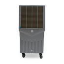 SYMPHANY JUMBO 200 EX