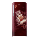 SAMSUNG RR20D2725RZ/NL