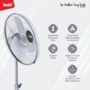 INDO 20" VIKRANT NEO PF