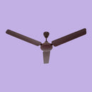 WYZR 1200MM CASA BREEZ Brown