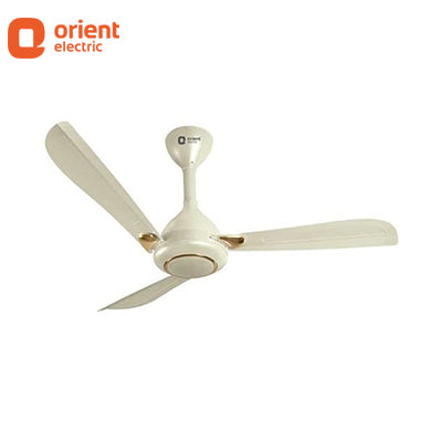 ORIENT 1200MM OPRAH