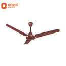 ORIENT 1400MM ARCTIC AIR Brown