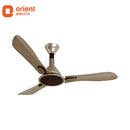 ORIENT 1200MM ARETA GOLD BEIGE COFFEE