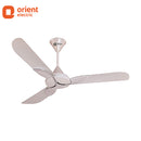 ORIENT 1200MM CRISTO